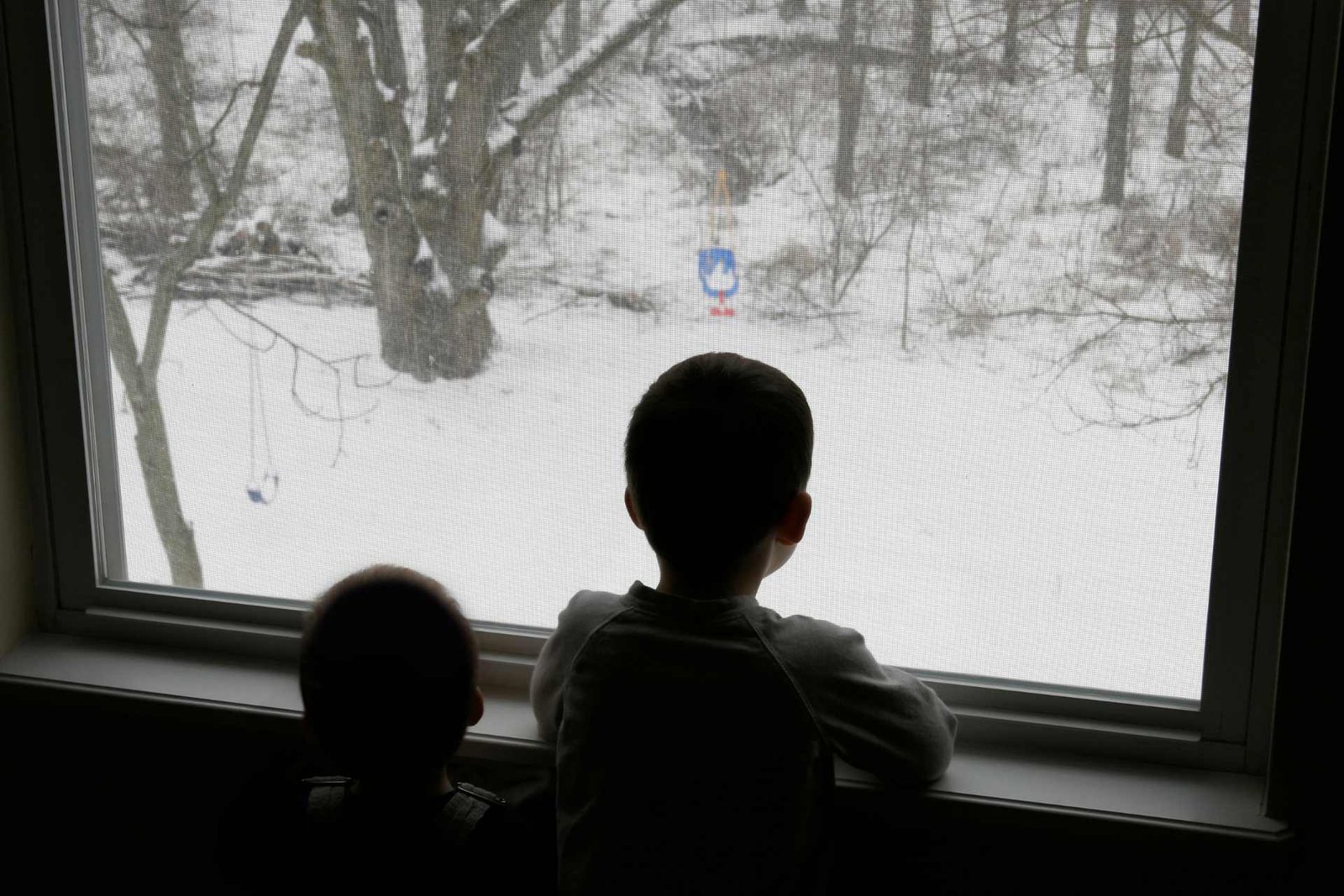 Enhancing Window Energy Efficiency with Low-E Glass