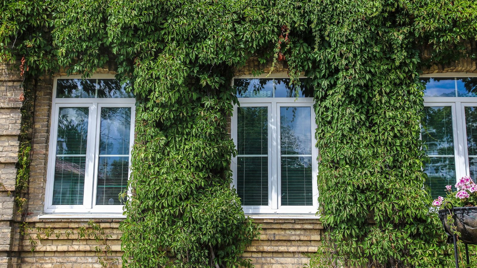 Installer fitting energy efficient replacement windows in an Ontario home