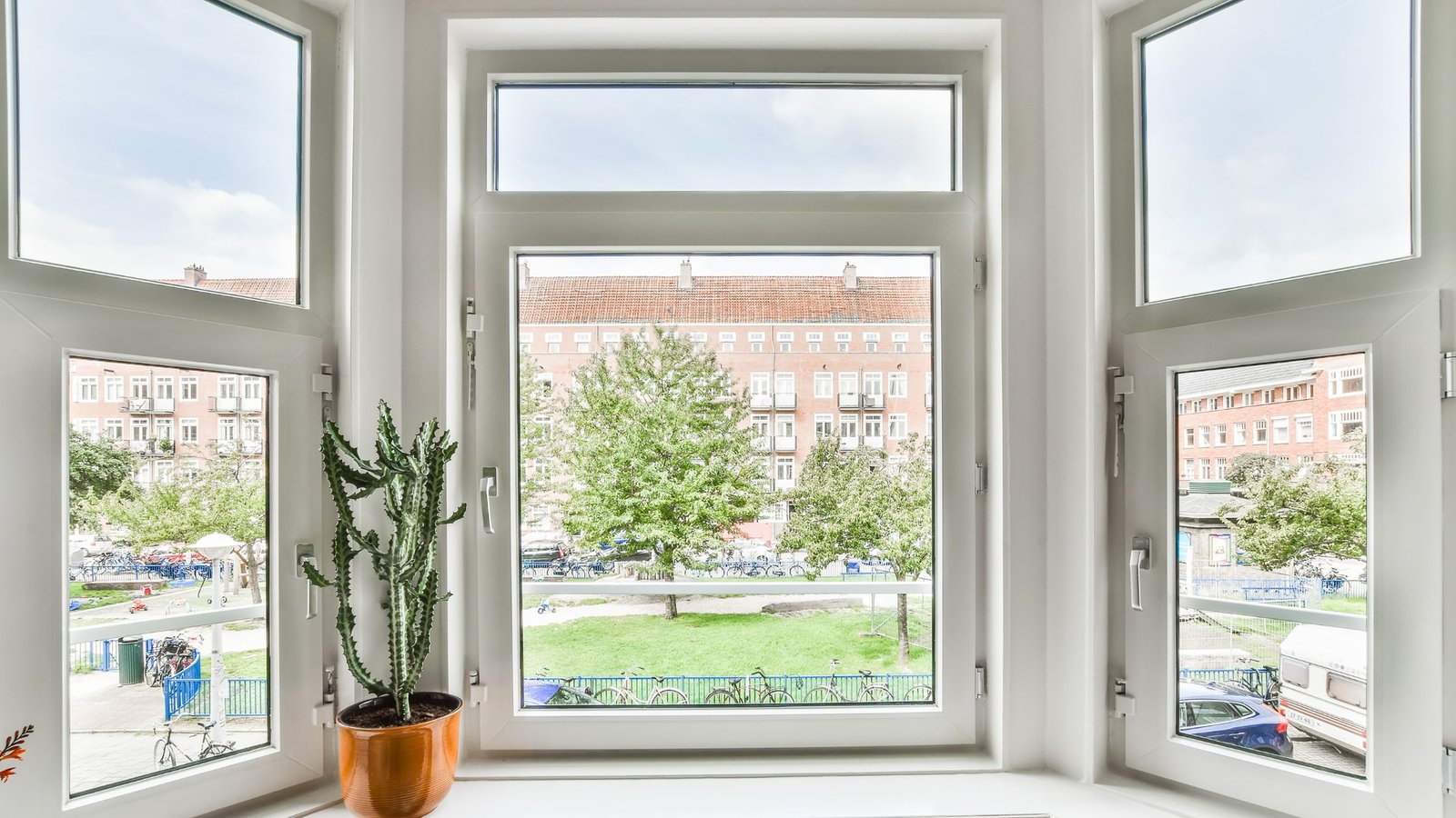 A close-up view of a white single-hung window with two panes. The bottom pane is movable, while the top pane remains fixed. The window is framed by white trim and a potted cactus sits on the windowsill, with a view of trees and buildings outside.